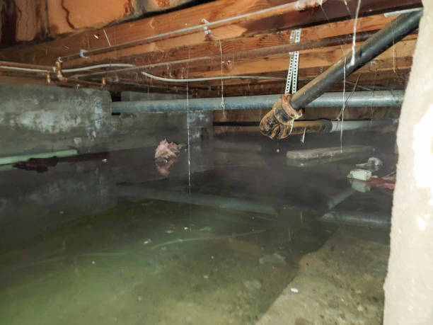 Local water damage restoration in Timberville, VA
