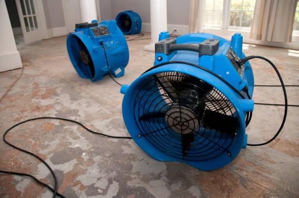 Fire Damage Restoration in Timberville, VA