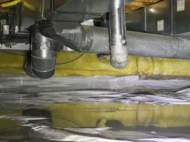 Best Water damage mitigation services  in Timberville, VA